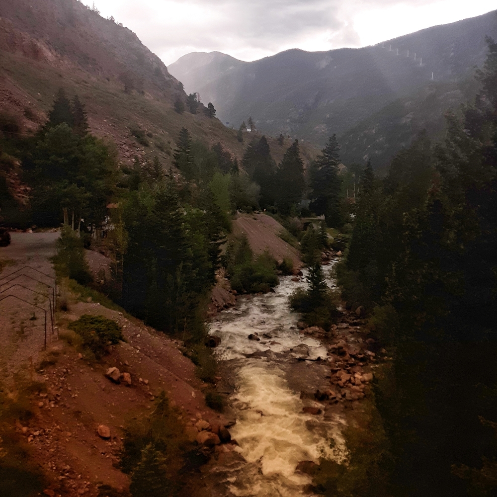 Meet your Posher, Desiree